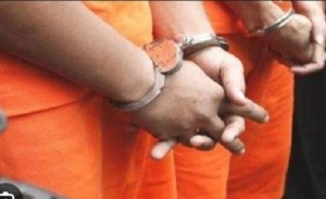 Sat Reskrim Polres Rohul Berhasil Gagalkan Perdagangan Anak di Bawah Umur,Dua Germo dan Mucikari Ditangkap