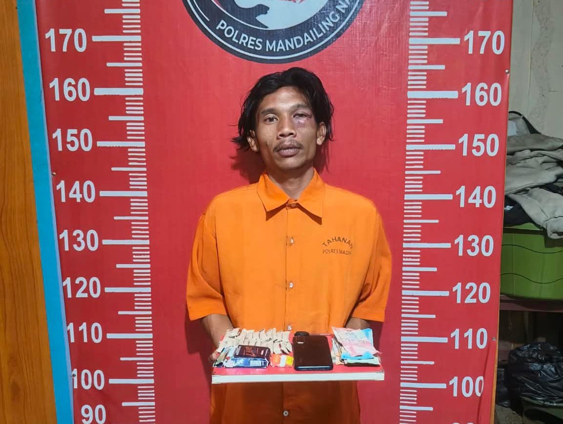 POLRES MADINA AMANKAN PRIA 26 TAHUN DI BUKIT MALINTANG, 23 PAKET DIDUGA GANJA DISITA