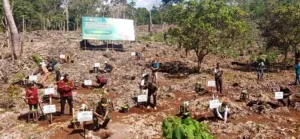 HPMI 2025 di Desa Silu: Menanam 1.800 Bibit, Kolaborasi 35 Tahun untuk Masa Depan Hijau NTT