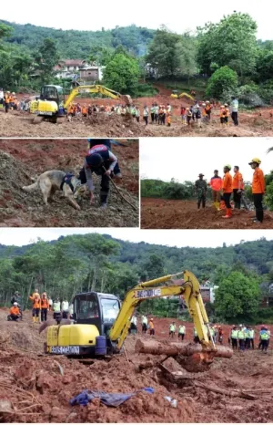 Longsor di Cilacap: Opsar Hari Ketiga Temukan Delapan Jenazah