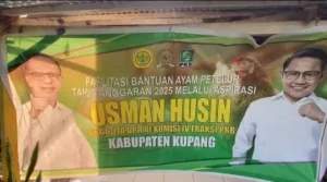 Usman Husin Salurkan 600 Ayam Petelur untuk Warga Desa Pathau, Dorong Ekonomi Lokal Kabupaten Kupang