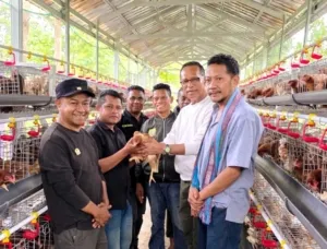 Dari Kesatnana untuk Kesejahteraan Desa, Usman Husin Salurkan 600 Ayam Petelur