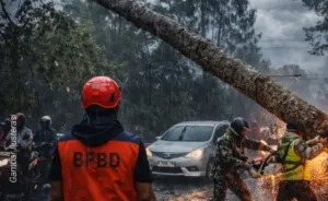 Hujan Deras Disertai Angin Kencang Tumbangkan Pohon Besar