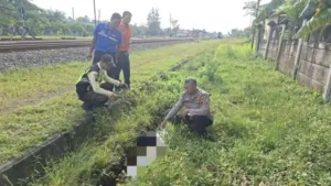Pria Tanpa Identitas Ditemukan Tewas Dipinggir Rel KA Gubug