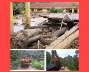 Banjir Bandang Tolang Jae Tidak Akan Terjadi Jika Polres Tapsel Proses Dumas Perambahan Hutan 2 Tahun Lalu?