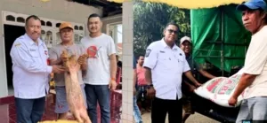 Perkuat Kesejahteraan Peternak, Pemkot Kupang Salurkan Bantuan Anakan Babi dan Pakan Hidro Bernilai Ratusan Juta Rupiah