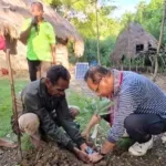 Harapan yang Terus Ditanam: Dari Rote Ndao ke Kabupaten Kupang, Bibit Aspirasi Usman Husin Menyapa Petani