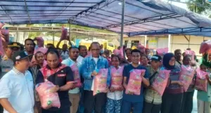 Benih Padi Unggul Hasil Aspirasi Usman Husin, Tumbuh Luar Biasa di Sawah Desa Bena
