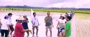 Usman Husin Turun Lumpur Bersama Petani Sumba Tengah