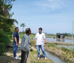 Dukung Swasembada Pangan Nasional, BULOG NTT Tancap Gas Serap Gabah Petani