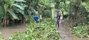 Kuwu Wasjudin Pimpin Para Pamong Desa Dermayu – Sindang.Bersihkan Eceng di Saluran Primer .