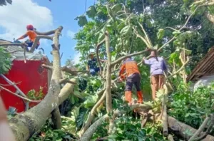 Hujan Disertai Angin Kencang Landa Kuningan, BPBD Imbau Warga Harap Waspada