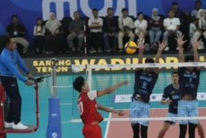 Dikalahkan Samator, Medan Falcons Beruntung