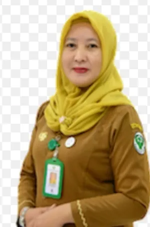 Kader PC. PMII PSP – Tapsel Irfan Shaleh Siregar, Apresiasi Pelayanan RSUD Padangsidimpuan Di Bawah Kepemimpinan drg. Susanti Lubis, M.K.M.