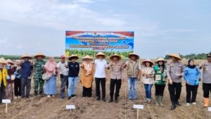 Dukung Swasembada Pangan, Polres Dumai Ikuti Penanaman Jagung Serentak Kuartal I