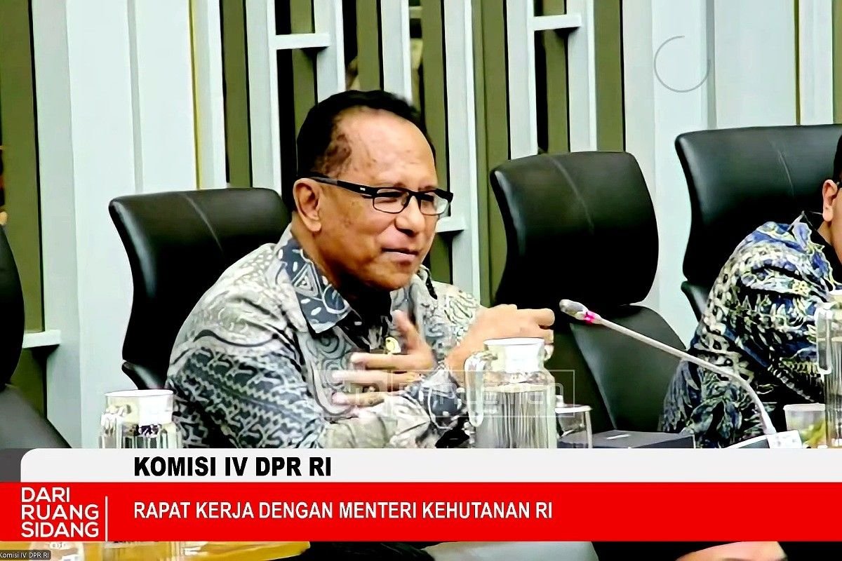 Suara Usman Husin Menggema di Ruang Rapat Komisi IV DPR RI: Soal Komodo dan Mutis, Direspons Raja Juli Antoni Suara Usman Husin Menggema di Ruang Rapat Komisi IV DPR RI: Soal Komodo dan Mutis, Direspons Raja Juli Antoni