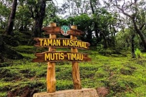 Pekan Ini Usman Husin dan Dirjen KSDAE Kunker di NTT, Fokus TN Mutis hingga ke Rote