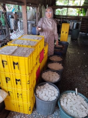 Tahu Tempe Prima UD. Rizki Tumbuh Bersama MBG, Serap Tenaga Kerja dan Dongkrak Pendapatan