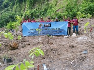 Reklamasi Tambang: Koperasi Ngudi Lestari dan PT SKS Tanam 1000 Pohon