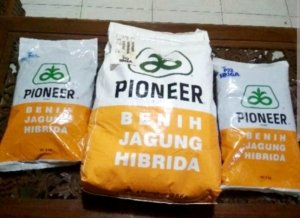 Bibit Jagung Aspirasi untuk TTS Disebut Baru Tersalurkan Sebagian pada Mei 2026