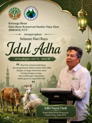 Ucapan Hari Raya Idul Adha 10 Dzulhijjah 1447 H / 2026 M dari Kepala BBKSDA NTT, Adhi Nurul Hadi