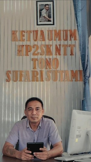HP2SK NTT Catat Penjualan 50 Ekor Sapi Kurban di Kota Kupang Jelang Idul Adha 1447 H