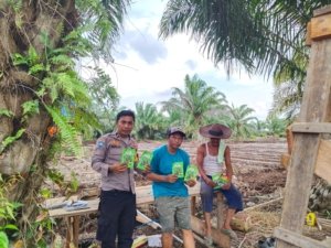Giat Bhabinkamtibmas Polsek Sungai Sembilan Dalam Mendukung Program Ketahanan Pangan Nasional