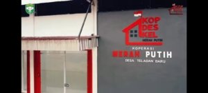 48 KDMP Telah Berdiri di Subulussalam, Pengurus Koperasi Soroti Sikap Walikota Yang Dinilai Tidak Peduli