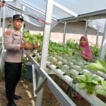 Bhabinkamtibmas Mekar Sari Dan Petani Laksanakan Pengecekan Pekarangan Pangan Bergizi