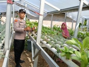 Bhabinkamtibmas Mekar Sari Dan Petani Laksanakan Pengecekan Pekarangan Pangan Bergizi