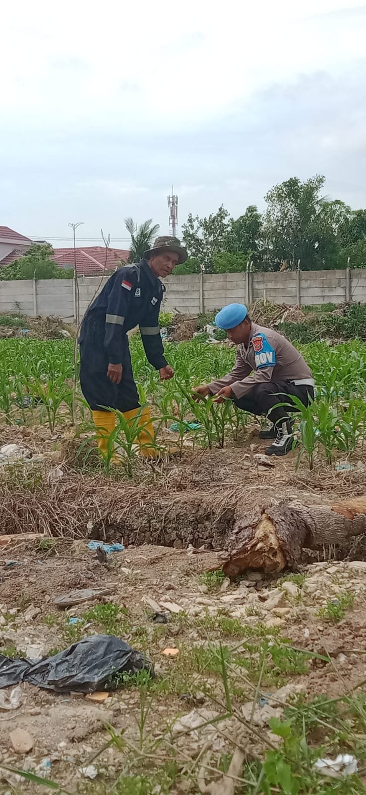 Polsek Kawasan Pelabuhan Dumai Laksanaka Giat Perawatan Dan Pengecekan Pertanian Mandiri Polsek Kawasan Pelabuhan Dumai Laksanaka Giat Perawatan Dan Pengecekan Pertanian Mandiri