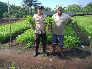 Bhabinkamtibmas Bagan Keladi Bersama Petani Tinjau Langsung Perkembangan Tanaman Pekarangan Pangn Bergizi