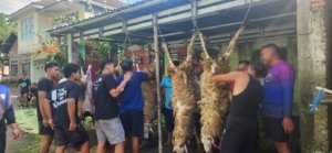 Momen Idul Adha, SPPG Gandusari Bandongan Bagikan Daging Korban
