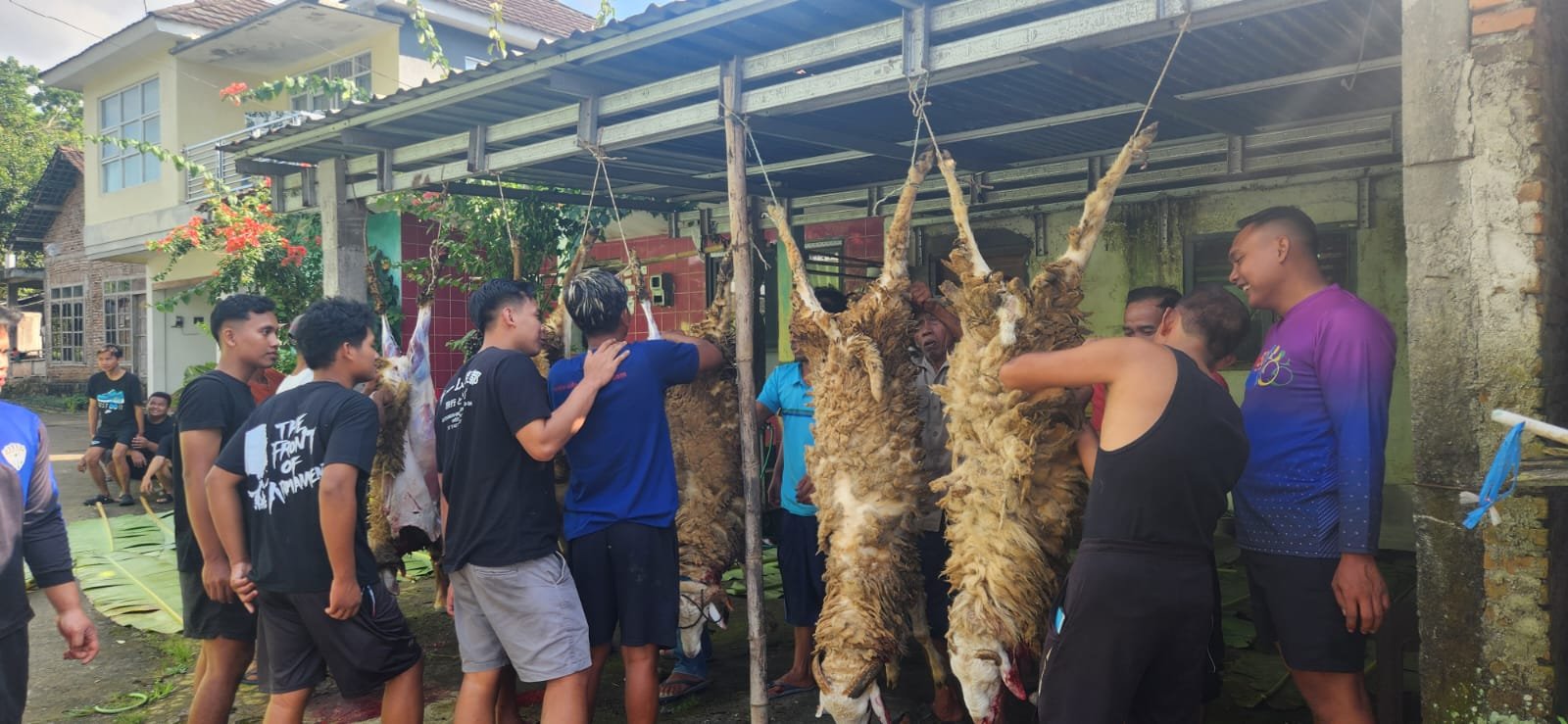 Momen Idul Adha, SPPG Gandusari Bandongan Bagikan Daging Korban Momen Idul Adha, SPPG Gandusari Bandongan Bagikan Daging Korban