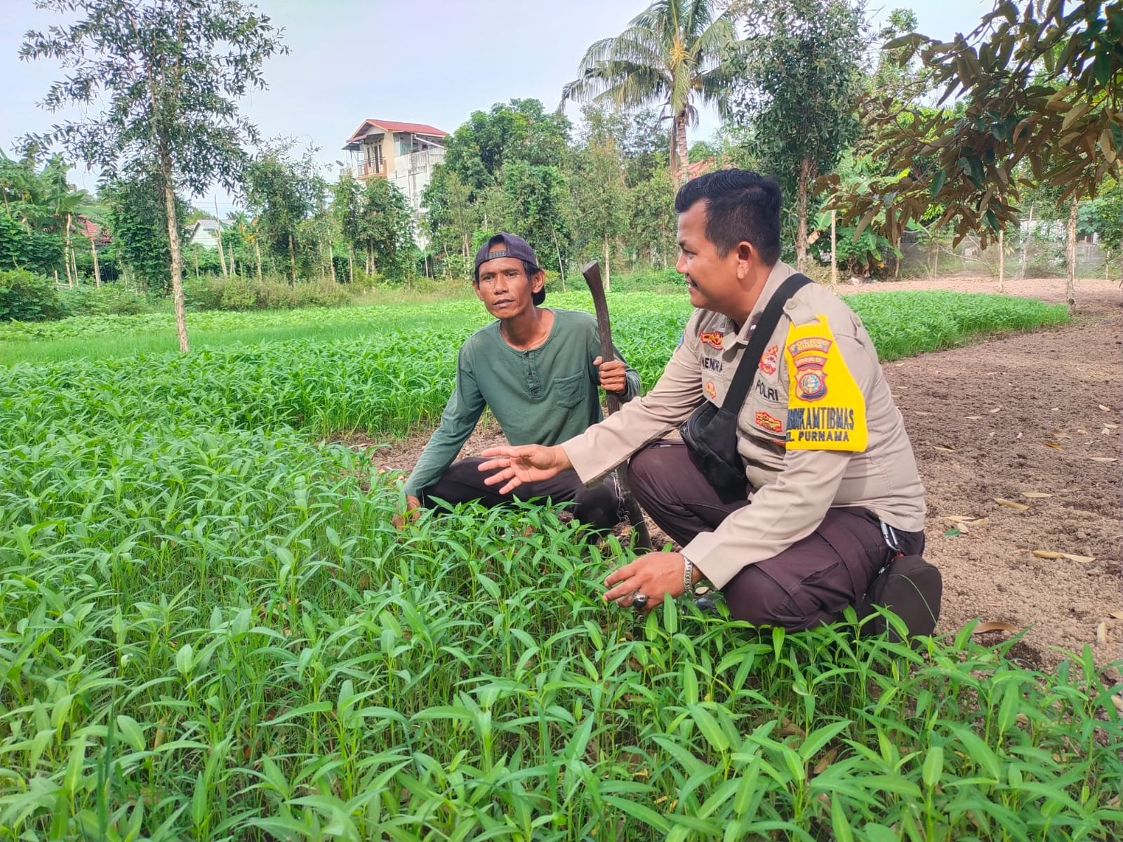 Bhabinkamtibmas Purnama lakukan Pengecekan Pekarangan Pangan Bergizi Bersama Petani Dukung Program Ketahanan Pangan Nasional Bhabinkamtibmas Purnama lakukan Pengecekan Pekarangan Pangan Bergizi Bersama Petani Dukung Program Ketahanan Pangan Nasional