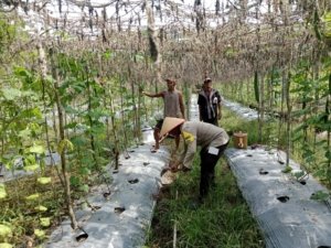 Polsek Sungai Sembilan Gandeng Petani Lokal Dukung Ketahanan Pangan Nasional