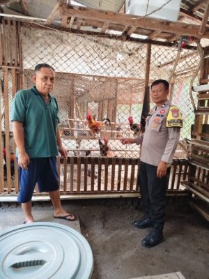 Pengecekan Pada Peternakan Ayam Di BTN  Taman Mitra Bhabinkamtibmas Bersama Pengusaha Ternak