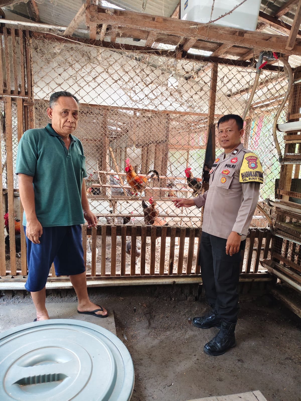 Pengecekan Pada Peternakan Ayam Di BTN Taman Mitra Bhabinkamtibmas Bersama Pengusaha Ternak Pengecekan Pada Peternakan Ayam Di BTN Taman Mitra Bhabinkamtibmas Bersama Pengusaha Ternak