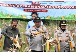 Wujudkan Ketahanan Pangan, Polresta Cirebon Ikuti Panen Raya Jagung Serentak Bersama Presiden