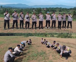 Polsek Rambah  Laksanakan Pengecekan Lahan Jagung Hibrida
