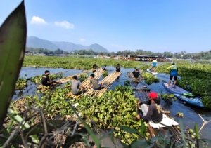 Eceng Gondok Kepung Saguling Bandung Barat, PLTA Terancam