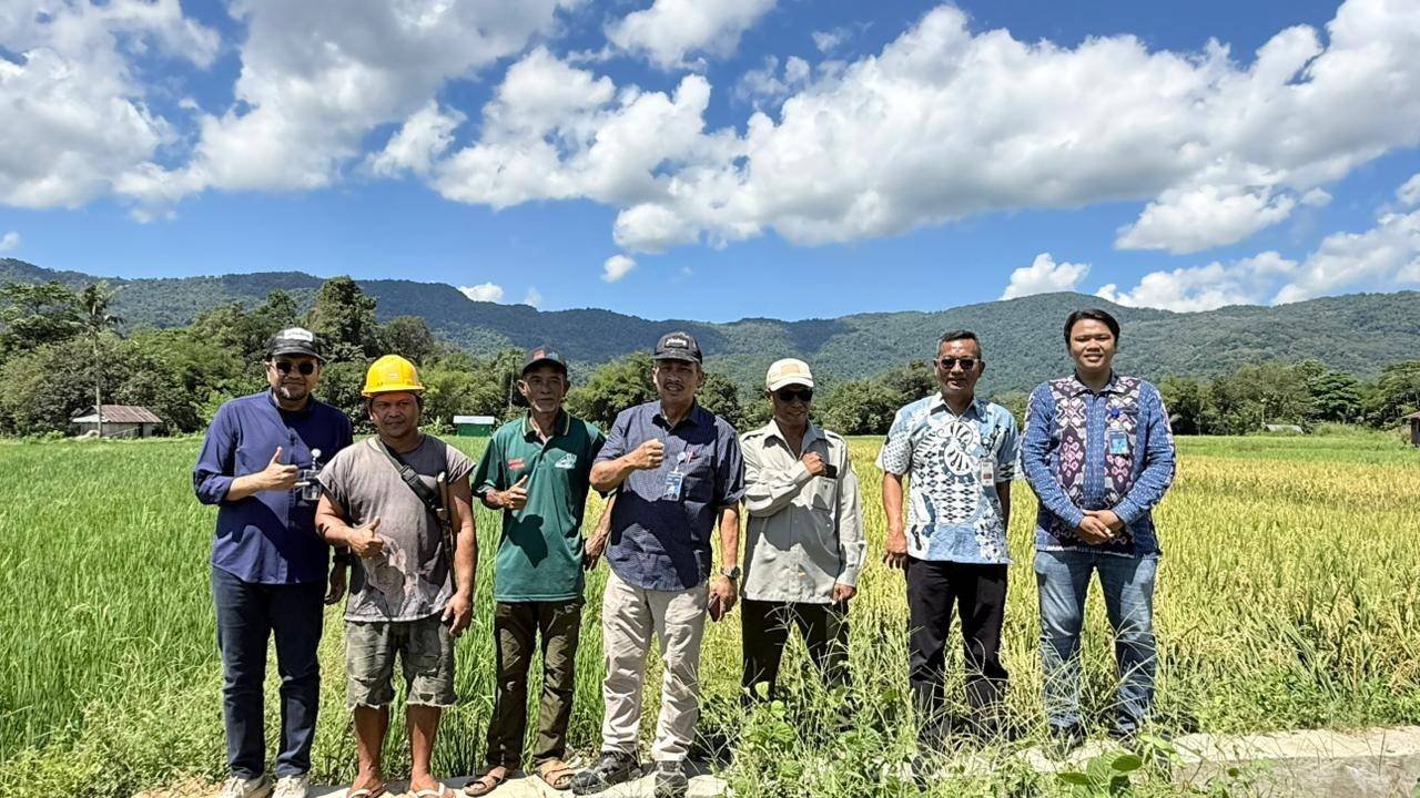 BULOG Pecah Rekor Serapan Gabah Nasional, NTT Sumbang Hampir 4.000 Ton untuk Ketahanan Pangan BULOG Pecah Rekor Serapan Gabah Nasional, NTT Sumbang Hampir 4.000 Ton untuk Ketahanan Pangan