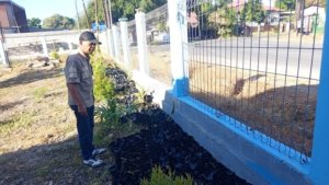 Dishub NTT dan Yayasan Gaharu Global Mandiri Canangkan Penanaman 10 Ribu Pohon Balsa, Dorong Udara Bersih hingga Kontribusi bagi PAD