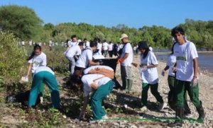 BBKSDA NTT Hadir Menjaga Harapan Pesisir, Mangrove Ditanam dan Sampah Dibersihkan untuk Masa Depan yang Lebih Baik