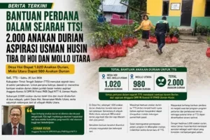 Bantuan Perdana untuk TTS, 2.000 Anakan Durian Aspirasi Usman Husin Tiba di Hoi dan Mollo Utara