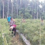 Personil Bhabinkamtibmas Polsek Sungai Sembilan Cek Pekarngn Pangan Bergizi