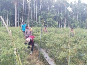 Personil Bhabinkamtibmas Polsek Sungai Sembilan Cek Pekarngn Pangan Bergizi