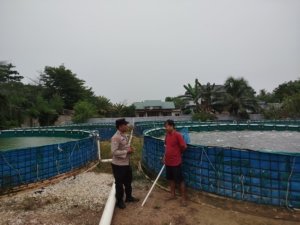 Pengecekan Kolam Bio Vlog Ternak Ikan lele, Bhabinkatibmas Mekar Sari Bersama Pengelola Kolam