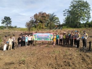 Perkuat Ketahanan Pangan dan Kedekatan dengan Masyarakat Polri Bersama Kelompok TaamTanam Jagung Hibrida Di Koto Tinggi 