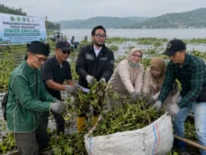 Forkopimda Bandung Barat Gotong Royong Bersihkan Eceng Gondok di Waduk Saguling